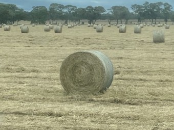 390 x Clover Hay 327kg 5x4 Rolls