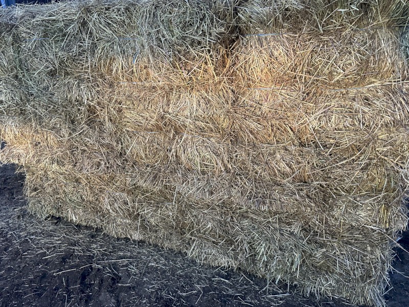 Grass Hay small square bales in bale baron packs