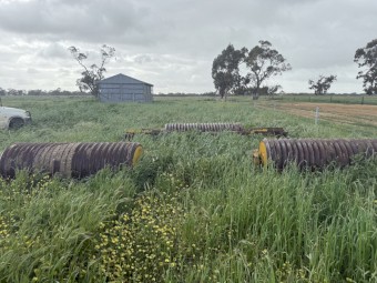 KI KI Stone Rollers