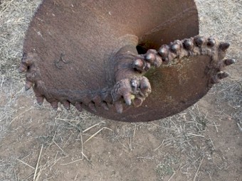 Rock Augers