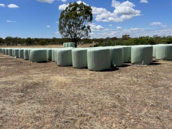 Oaten Silage