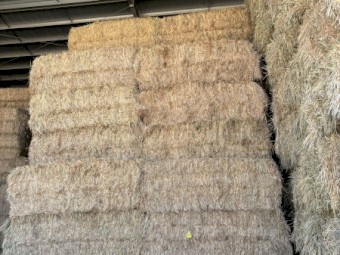 200mt Oaten Hay 8x4x3 Bales