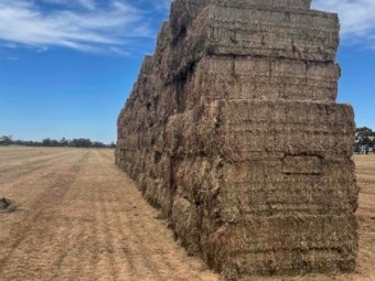 Vetch Hay 8x4x3 Bales (New Season 21/22)
