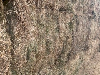 Vetch Hay 8x4x3 Bales (New Season 21/22)