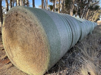 Ryegrass Hay