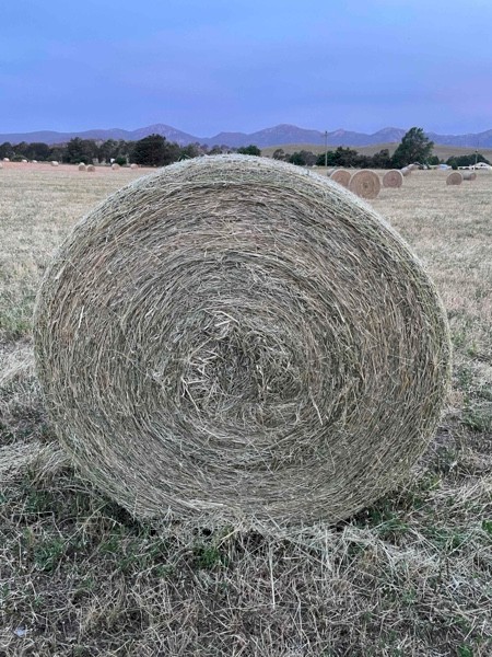 Lucerne & Oaten Hay 4x4 Rolls x 500