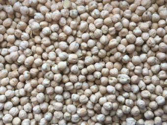 Chick Peas