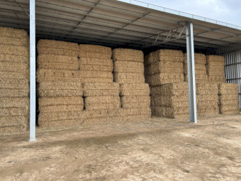 90mt Wheaten Hay 620kg 8x4x3 bales