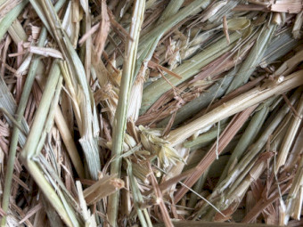 90mt Wheaten Hay 620kg 8x4x3 bales