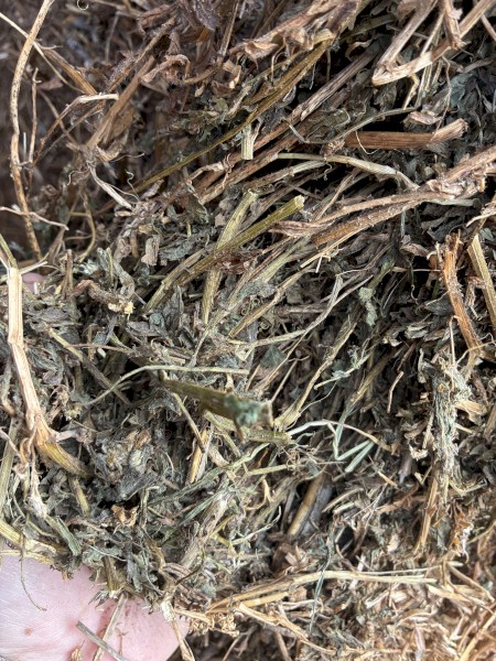 150mt Vetch Hay 650kg 8x4x3 Bales