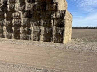 Rye Grass Hay