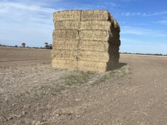 Rye Grass Hay
