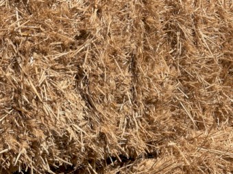 1000mt Barley Straw 8x4x3 Bales