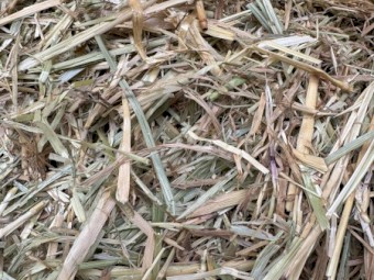 275mt Wheaten and Rye Hay 720kg 8x4x3 Bales