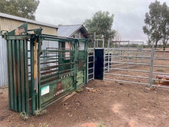 Cattle yards