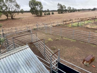 Cattle yards