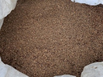 Jumbo 2 lentils