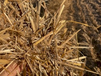 Oat Tailings 600kg bale weight
