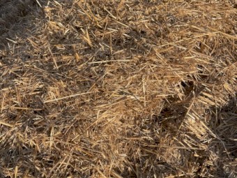 Oat Tailings 600kg bale weight