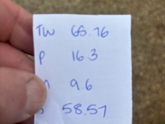 100mt Wheat