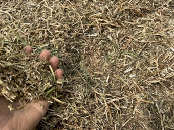 340mt Vetch Hay 670kg 8x4x3 Bales