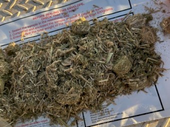 100mt Vetch Hay 8x4x3 Bales