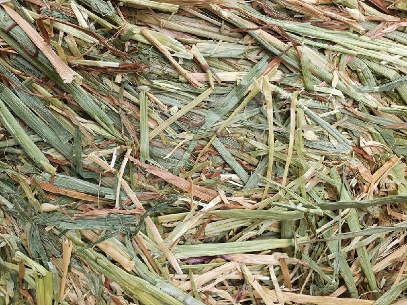 Wheaten Hay 8x4x3 Bales