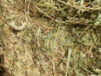 Wheaten Hay 8x4x3 Bales