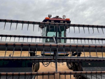 MacDon 9300 Windrower with 30ft 962 Front