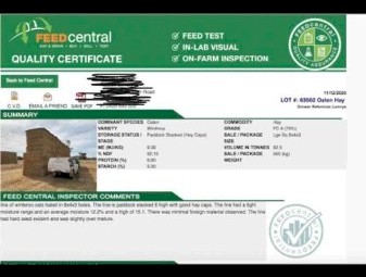 Oaten Hay 8x4x3 Bales