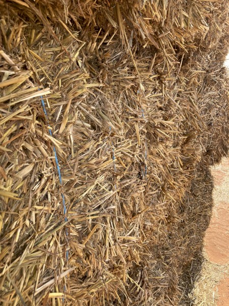 Oaten hay 22 seasons