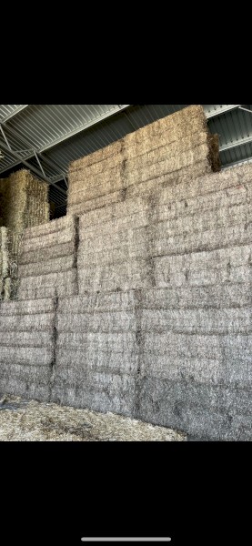 120mt Vetch Hay 8x4x3 Bales