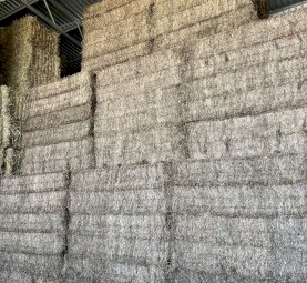 120mt Vetch Hay 8x4x3 Bales