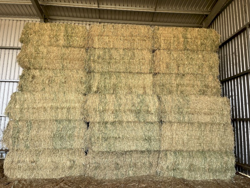 13 Wheaten Hay Bales