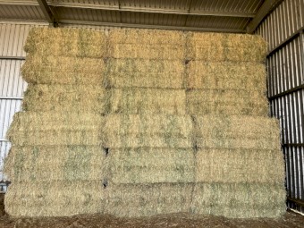 13 Wheaten Hay Bales
