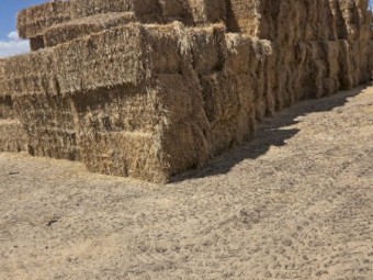 200mt Barley Hay 8x4x3 Bales