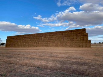 200mt Vetch Hay 650-700kg 8x4x3 Bales (2020)
