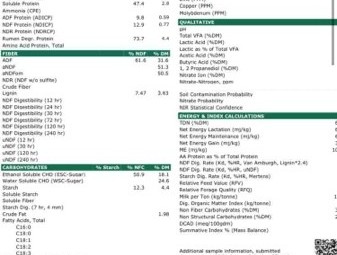 Oaten Hay 8x4x3 Bales