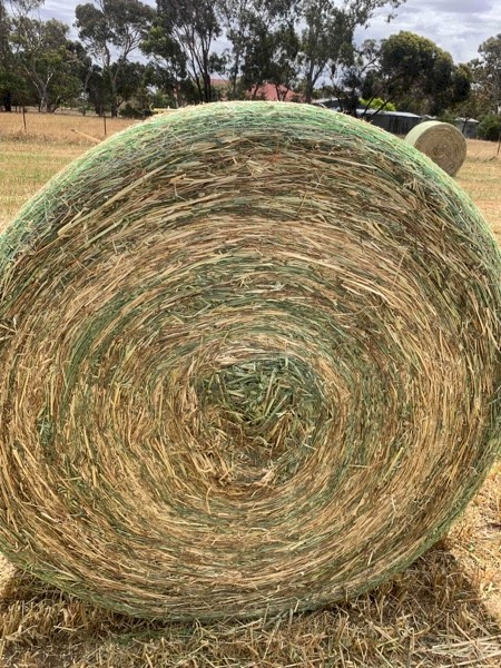 Oaten and oaten/rygrass hay 5x4 rounds 