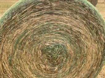 Oaten and oaten/rygrass hay 5x4 rounds 