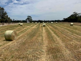 Oaten and oaten/rygrass hay 5x4 rounds 