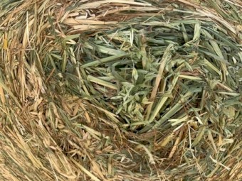 Oaten and oaten/rygrass hay 5x4 rounds 