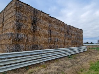 8x4x3 Triticale/Pea Squares