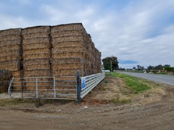 8x4x3 Triticale/Pea Squares