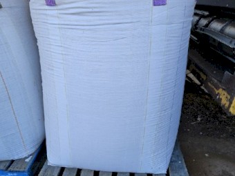 Scepter wheat 