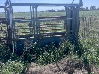 Cattle Crush + Yards