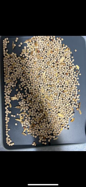 42t lupines
