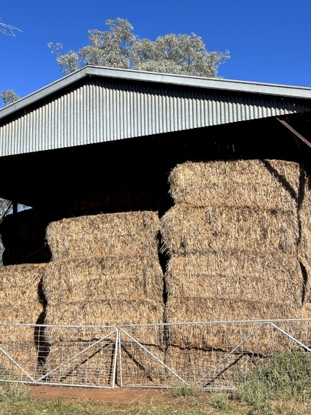 150 bales Oaten Hay 8x4x3 Bales