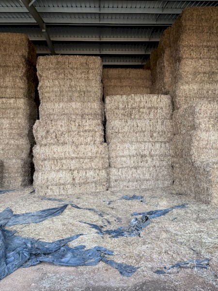40mt Vetch Hay 8x4x3 Bales