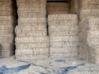 40mt Vetch Hay 8x4x3 Bales